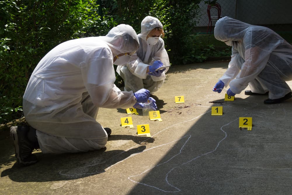 A team of three forensic experts collects evidence at the crime scene.







